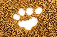 Mit „Grain-Free”: Czy&nbsp;karma bezzbożowa jest bezpieczna? Analiza związku z&nbsp;DCM (kardiomiopatią u&nbsp;psów)