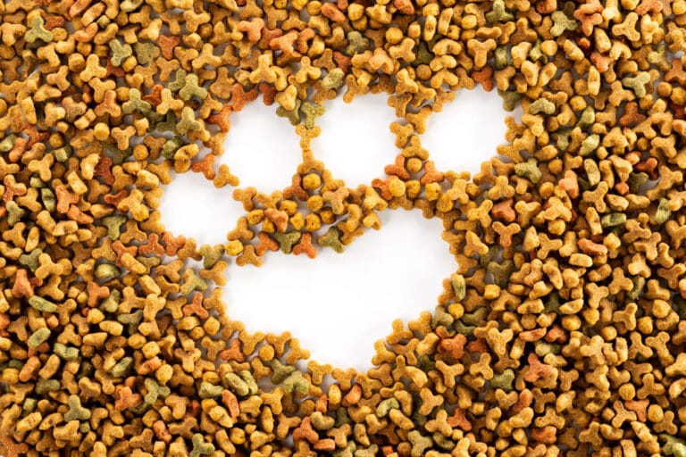 Mit „Grain-Free”: Czy&nbsp;karma bezzbożowa jest bezpieczna? Analiza związku z&nbsp;DCM (kardiomiopatią u&nbsp;psów)