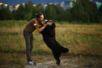 Skakanie na&nbsp;ludzi – jak oduczyć psa szukania uwagi przez&nbsp;fizyczny kontakt