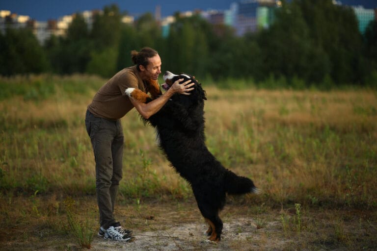 Skakanie na&nbsp;ludzi – jak oduczyć psa szukania uwagi przez&nbsp;fizyczny kontakt