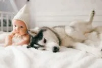 Pies i&nbsp;noworodek w&nbsp;domu – jak przygotować psa na&nbsp;przyjście dziecka