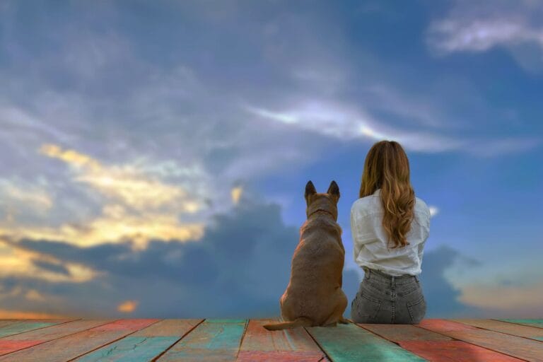 Psia intuicja czy&nbsp;super węch? Jak Twój&nbsp;pies wyczuwa Twój&nbsp;nastrój, zanim sam go&nbsp;zrozumiesz