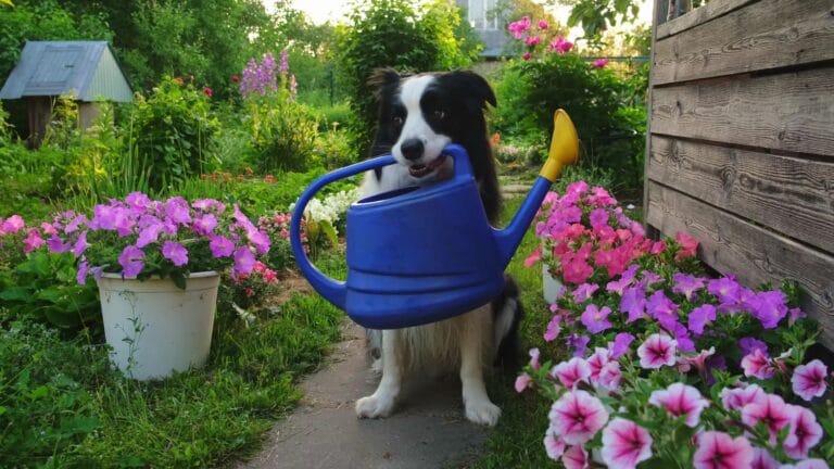 Ogród przyjazny psu: przewodnik po&nbsp;bezpiecznych roślinach, projektowaniu i&nbsp;psiej naturze