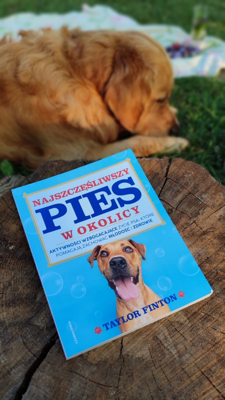 Rekomendacja: „Najszczęśliwszy pies w&nbsp;okolicy”